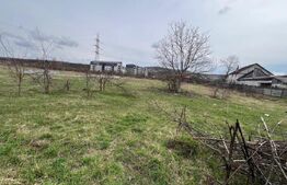 Teren Intravilan de vanzare, 4400 mp, zona Viisoara