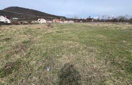 Teren Intravilan de vanzare, 4400 mp, zona Viisoara