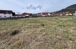 Teren Intravilan de vanzare, 4400 mp, zona Viisoara