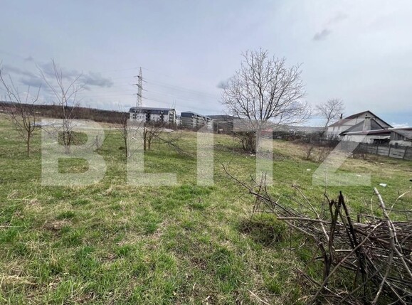 Teren de vânzare Viișoara - 168066TV | BLITZ Bistriţa | Poza3