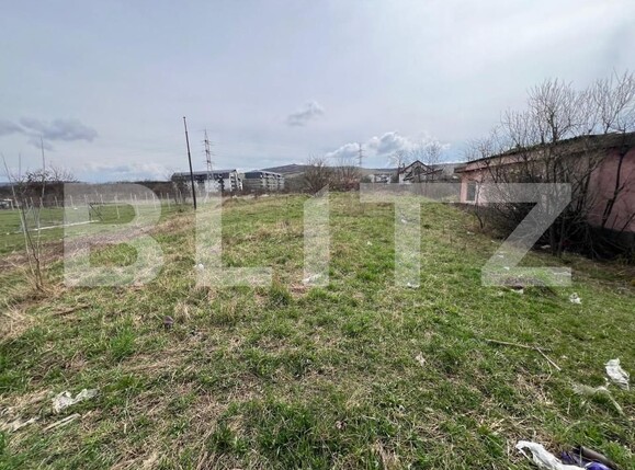 Teren de vânzare Viișoara - 168066TV | BLITZ Bistriţa | Poza2