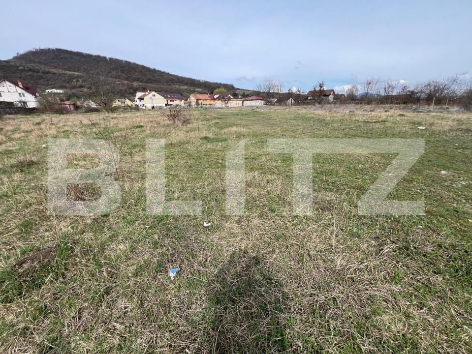 Teren de vânzare Viișoara - 168066TV | BLITZ Bistriţa | Poza1