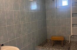 Apartament cu 1 camera, 30 mp, etaj 1, Bistrita