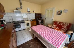 Casă de 100 mp utili cu teren de 1340 mp – Comuna Șintereag
