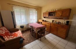 Casă de 100 mp utili cu teren de 1340 mp – Comuna Șintereag