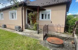 Casă de 100 mp utili cu teren de 1340 mp – Comuna Șintereag