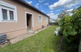 Casă de 100 mp utili cu teren de 1340 mp – Comuna Șintereag
