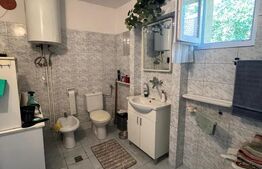 Casă de 100 mp utili cu teren de 1340 mp – Comuna Șintereag
