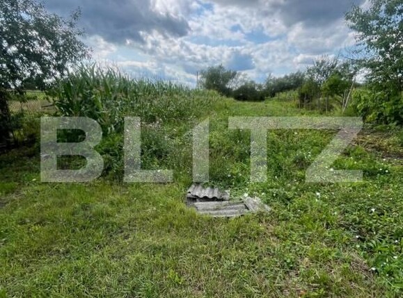 Casa de vânzare 3 camere Sintereag - 168098CV | BLITZ Bistriţa | Poza17