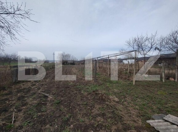 Casa de vânzare 3 camere Sintereag - 168098CV | BLITZ Bistriţa | Poza11