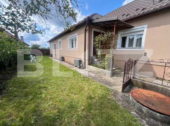 Casa de vânzare 3 camere Sintereag - 168098CV | BLITZ Bistriţa | Poza14