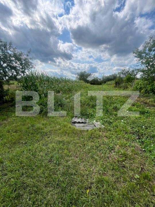 Casa de vânzare 3 camere Sintereag - 168098CV | BLITZ Bistriţa | Poza17