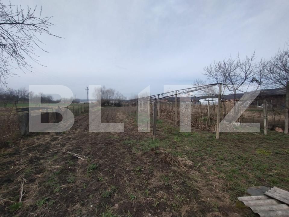 Casa de vânzare 3 camere Sintereag - 168098CV | BLITZ Bistriţa | Poza11