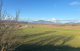 Teren extravilan 1000 mp, zona Livezile