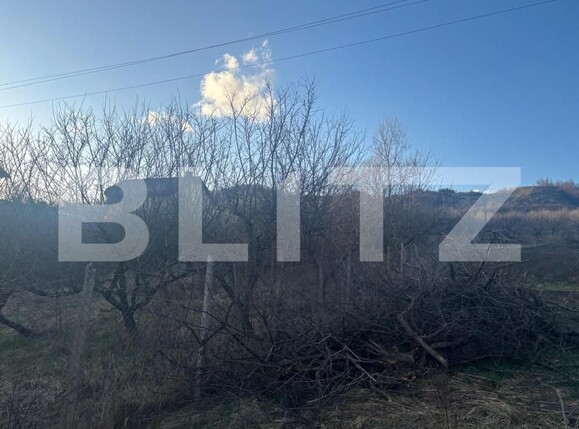 Teren de vânzare Nord - 168109TV | BLITZ Bistriţa | Poza1
