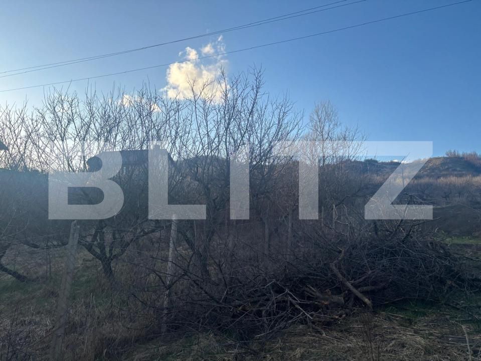Teren de vânzare Nord - 168109TV | BLITZ Bistriţa | Poza1