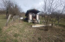 Teren 3 ari+cabana,zona Livezile