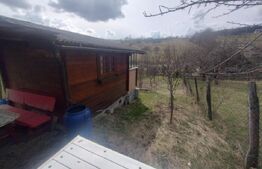 Teren 3 ari+cabana,zona Livezile