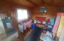 Teren 3 ari+cabana,zona Livezile