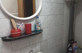 Cabana de vanzare, cu 4 camere, 100 mp, zona Piatra Fantanele