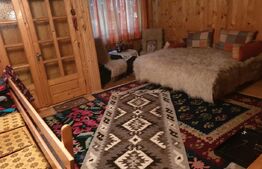 Cabana de vanzare, cu 4 camere, 100 mp, zona Piatra Fantanele