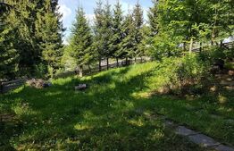 Casa de vânzare 3 camere Periferie - 184967CV | BLITZ Bistriţa | Poza4