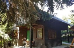 Casa de vânzare 4 camere Magurele - 205583CV | BLITZ Bistriţa | Poza5
