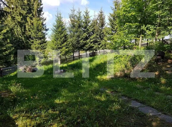 Casa de vânzare 4 camere Piatra Fantanele - 168296CV | BLITZ Bistriţa | Poza4