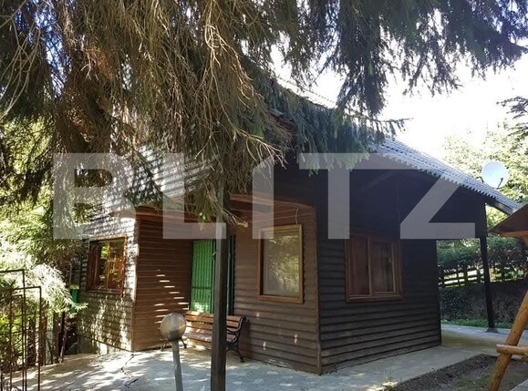 Casa de vânzare 4 camere Piatra Fantanele - 168296CV | BLITZ Bistriţa | Poza1