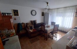 EXCLUSIVITATE! Casa cu 4 camere, 130 mp, 20 ari teren, zona Dealu-Jelnei