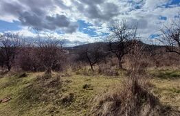 Teren extravilan 2500 mp 