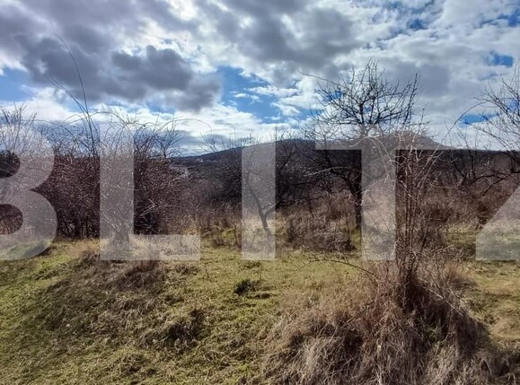 Teren de vânzare Centura - 168418TV | BLITZ Bistriţa | Poza1