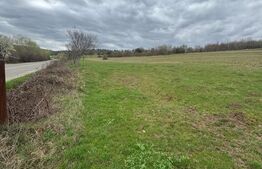 EXCLUSIVITATE! Teren la 10 km de Bistrita, 4526 mp, zona Blejenii de Sus