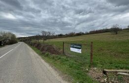 EXCLUSIVITATE! Teren la 10 km de Bistrita, 4526 mp, zona Blejenii de Sus