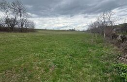 EXCLUSIVITATE! Teren la 10 km de Bistrita, 4526 mp, zona Blejenii de Sus