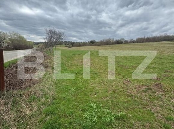 Teren de vânzare Est - 168439TV | BLITZ Bistriţa | Poza3