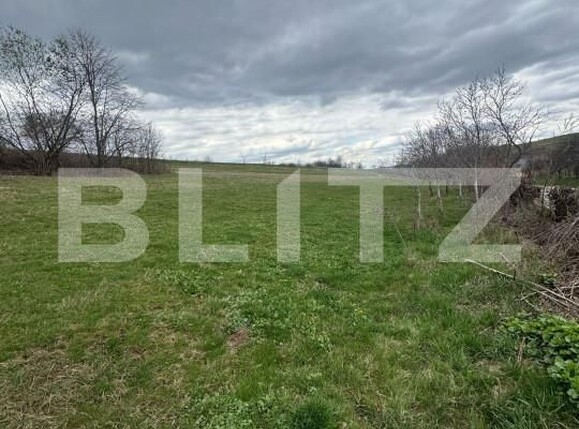 Teren de vânzare Est - 168439TV | BLITZ Bistriţa | Poza2
