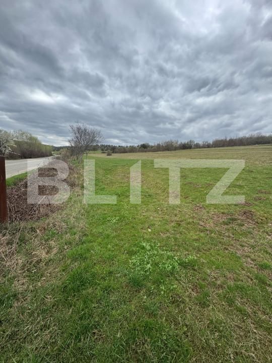 Teren de vânzare Est - 168439TV | BLITZ Bistriţa | Poza3
