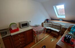 Casa 170 mp, formata din 2 apartamente, etaj 1, zona ultracentrala