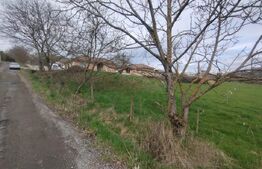 Teren intravilan, 3000 mp (30 ari), zona Valea Jelnei