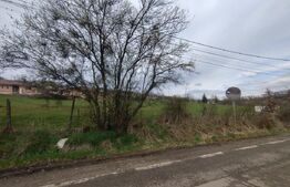 Teren intravilan, 3000 mp (30 ari), zona Valea Jelnei