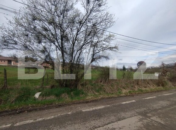 Teren de vânzare Ultracentral  - 168514TV | BLITZ Bistriţa | Poza5