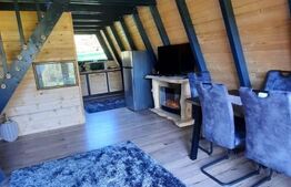 Oportunitate-cabana de vanzare, 4 camere, 75 mp, 34,5 ari teren, zona Colibita