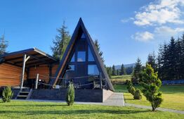 Oportunitate-cabana de vanzare, 4 camere, 75 mp, 34,5 ari teren, zona Colibita