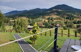 Oportunitate-cabana de vanzare, 4 camere, 75 mp, 34,5 ari teren, zona Colibita