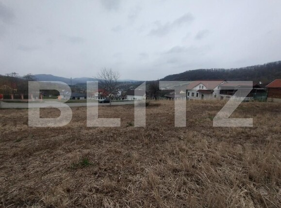 Teren de vânzare Exterior Est - 168782TV | BLITZ Bistriţa | Poza3