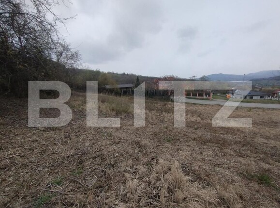 Teren de vânzare Exterior Est - 168782TV | BLITZ Bistriţa | Poza1