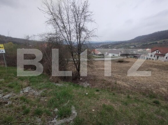 Teren de vânzare Exterior Est - 168782TV | BLITZ Bistriţa | Poza2