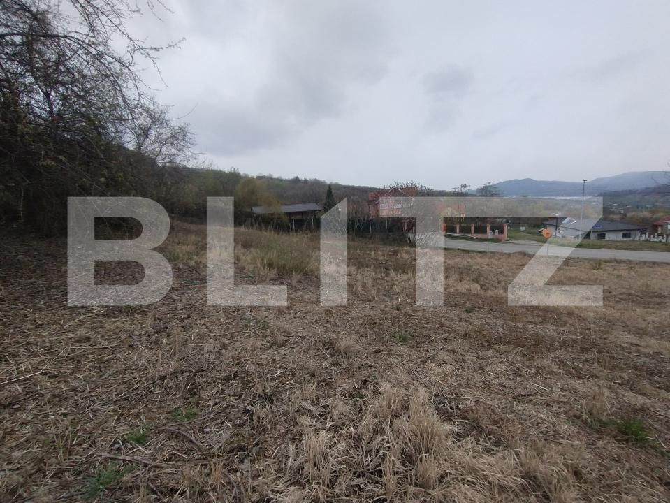 Teren de vânzare Exterior Est - 168782TV | BLITZ Bistriţa | Poza1