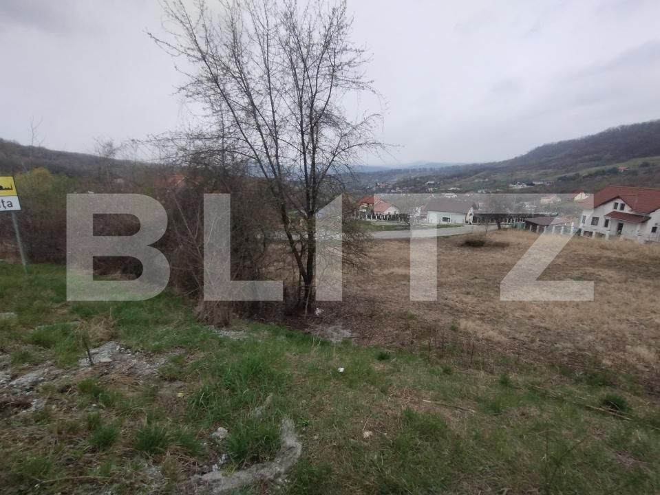 Teren de vânzare Exterior Est - 168782TV | BLITZ Bistriţa | Poza2